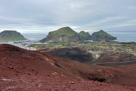 Westman islands Private tour