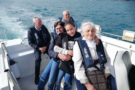 Sesimbra: Boat trip through the Arrábida Natural Park