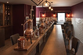 Tribe Gin School Experience in Galway