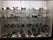 Civico Museo Didattico di Scienze Naturali Mario Strani, Pinerolo, Torino, Piemont, Italy