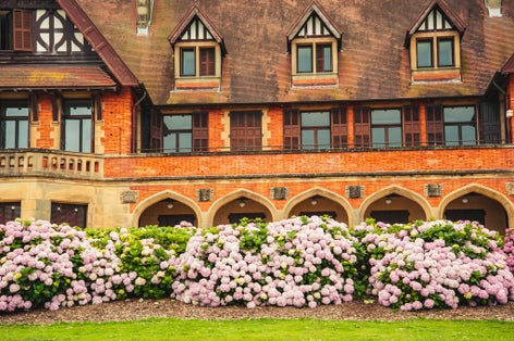 Photo of Miramar Palace main building is hiding behind bushes of Hydran .