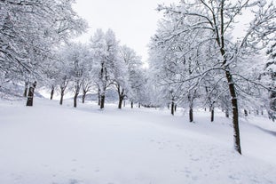 photo of Winter Cityscape of Cavalese, Val di Fiemme, Trentino Alto Adige, Italy.