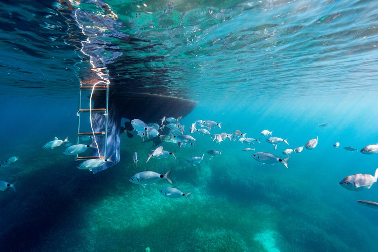 School of fish under a Sailing Boat in Port-Cros Nationalpark in the Mediterranean Sea, South France.