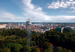 Aalborg panoramic view.