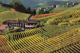 Tour privado desde Turín: día completo en la región de Langhe con sus colores y sabores