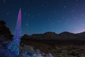 Excursión nocturna al Teide: Observación de las estrellas, cena y recogida en el hotel