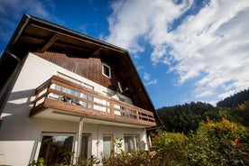 Willingen Berghotel