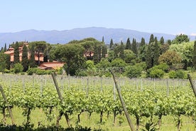 Tour privato del vino di Lucca con pranzo e degustazioni