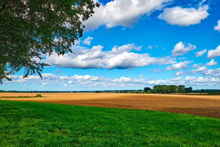 photo of view of View over the landscape of Mecklenburg-Western Pomerania, Germany, in the vicinity of Greifswald.