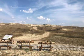 从维尔纽斯到里加I Curonian Spit，十字架山，Rundale的两日游