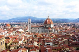 Pisa & Florence