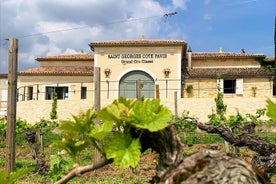 Besøk og smak på Château Saint-Georges Cote Pavie, Grand Cru Classé