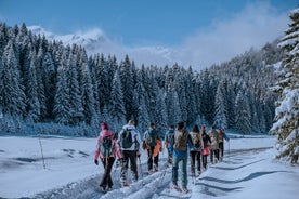 Montenegro Snowshoeing Durmitor