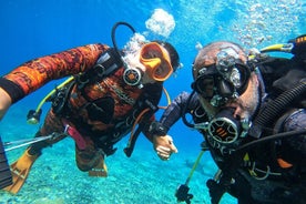 Bautizo de Buceo en Tenerife