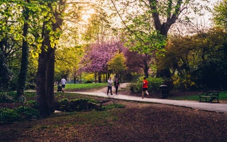 Sheffield - city in United Kingdom