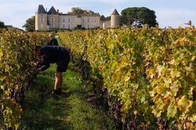 Tour del vino Castel a Bordeaux Margaux