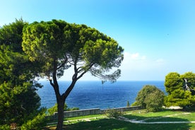 Photo of aerial view of town of Rovinj historic peninsula , famous tourist destination in Istria region of Croatia.