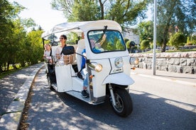 Rome: Private E-Tour in Electric Tuk Tuk