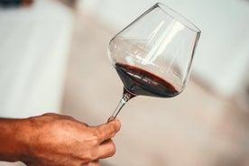 Excursão com degustação de vinho de dia inteiro para Médoc saindo de Bordeaux