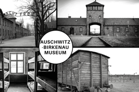 Auschwitz-Birkenau Guided Tour & Transfer from Krakow