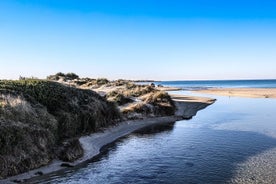 Día completo desde Lecce a una playa privada con almuerzo típico de Salento