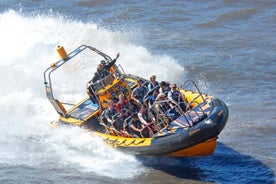 PRIVATE MIETE SPEEDBOAT 'THAMES BARRIER EXPERIENCE - 70 Minuten von Embankment entfernt