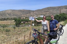 Electric Bike Tour Around the Upper Valley