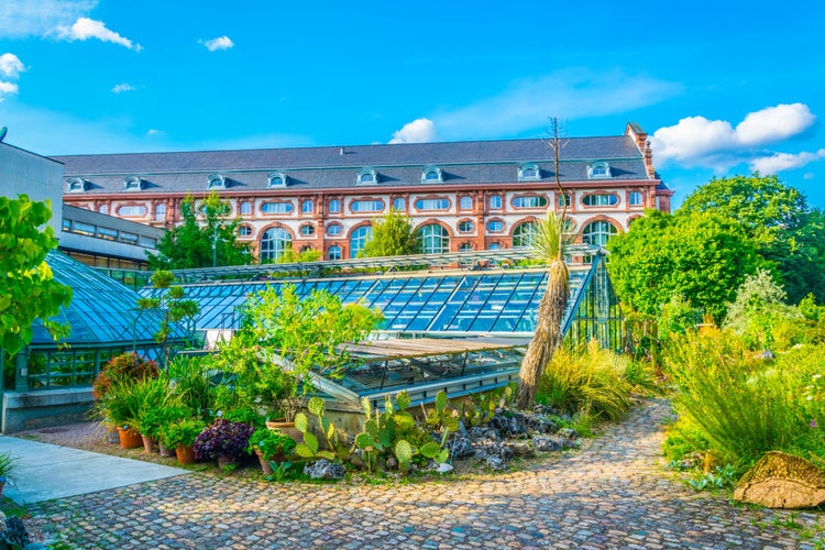 Photo of university of Basel Botanical Garden, Switzerland.