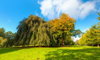 Photo of Cardiff, United Kingdom by Margaret Decker