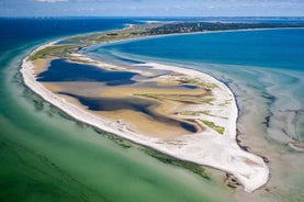 Bird Watching Private Tour in Copenhagen