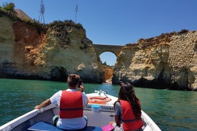 Ponta da Piedade沿海游览在拉各斯，阿尔加维