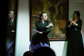 Flamenco Show in Seville - La milonga tablao