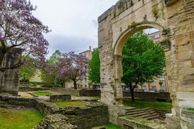 Excursão de Lyon a Vienne de trem