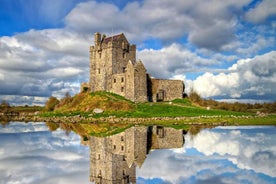 Excursión de un día a los acantilados de Moher desde Galway