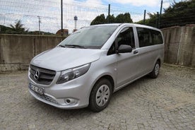 Dalaman Airport: KAS Private Arrival Transfer