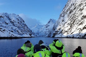 Tour de safari en Trollfjord y Sea Eagle desde Svolaer