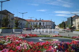 Östra Algarve guidad busstur