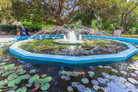 photo of view of Botanico of Cagliari, Italy.