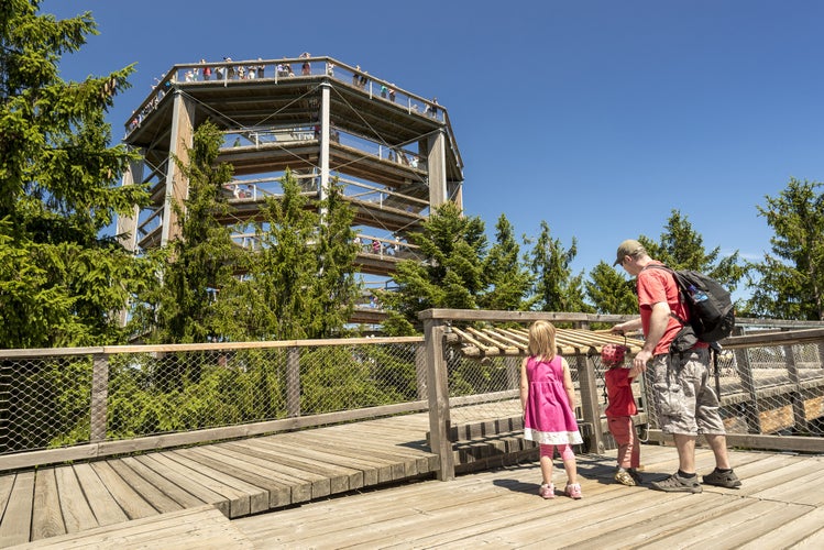 photo of view of Treetop Walkway (czech: stezka korunami stromu) in Lipno nad Vltavou, South Bohemia, Czech Republic