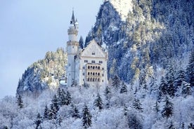 Neuschwanstein Castle by bus & Munich Xmas Market walking tour