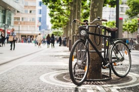 带导游的法兰克福顶级景点和自然自行车之旅