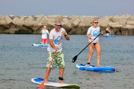 Stand Up Paddle Boarding lektion i Playa Flamingo