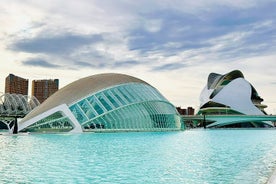 City of Arts & Sciences Tour med tapas og vin på taget