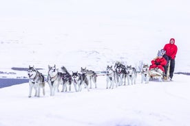 Hundeschlittenfahrt in der Nähe von Akureyri