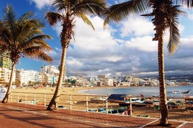 Guided Tour of Las Palmas including Botanic Garden and Volcano