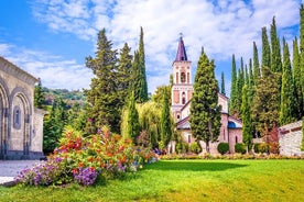 Day Trip to Kakheti Wine Region Including Seven Wine Tastings