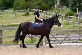 Horseback Riding Experience in Side 