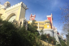 Excursão privada a Sintra e Cascais com um local