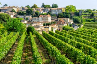 photo of the Bergerac town from bridge over Dordogne River in France.