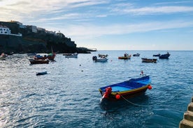 Serviço de veículo particular no Funchal com motorista por meio dia ou dia inteiro